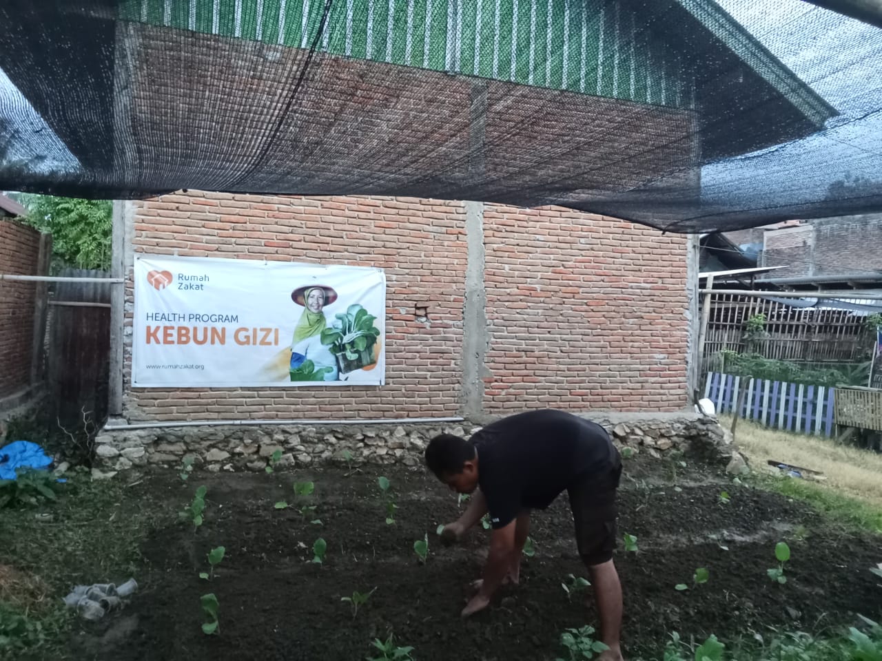 Penanaman Bibit Terong di Kebun Gizi Rumah Zakat Polewali Mandar