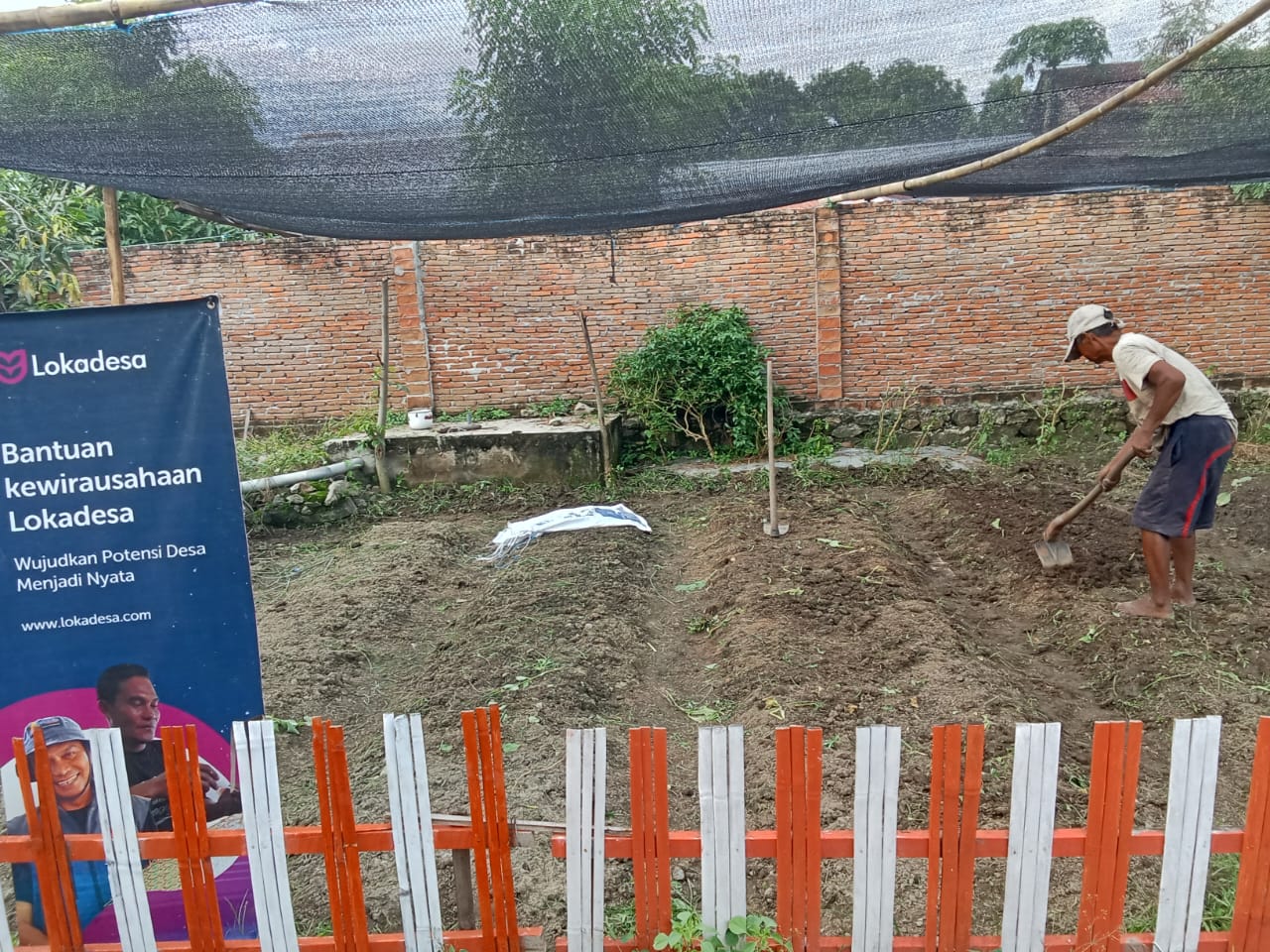 Pembuatan Bedengan dengan Pembenah Tanah: Persiapan Penanaman Sayuran di Pertanian Terpadu Lokadesa Polewali Mandar